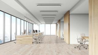 Ламинат KRONOSWISS Noblesse V4 Береза Западная 1х 32 класс